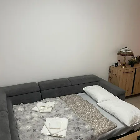 Z Duzym Tarasem Daire Gliwice
