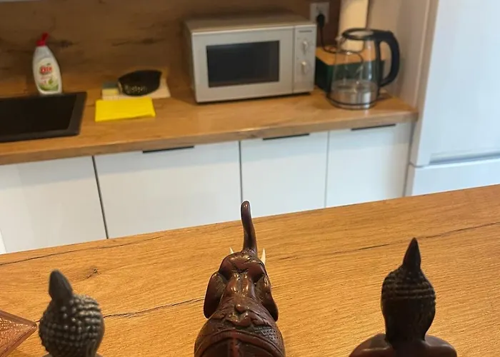 דירה Z Duzym Tarasem - Najblizej Prezero גליביצ'ה